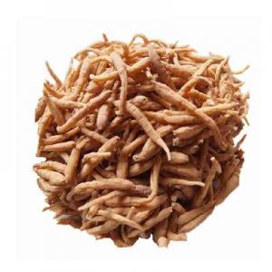 2026孩儿参十大品牌排行榜