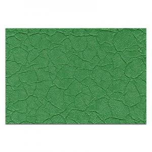 2026皱纹漆十大品牌排行榜