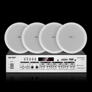 2026吸顶音箱十大品牌排行榜