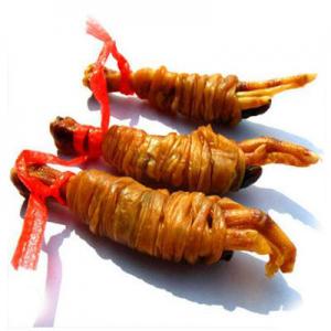 2026鸭脚包十大品牌排行榜