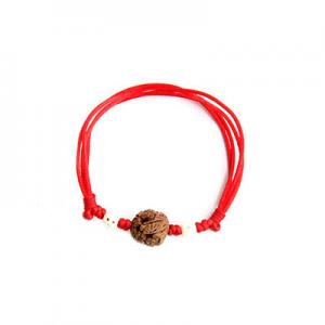 2026猪惊骨十大品牌排行榜