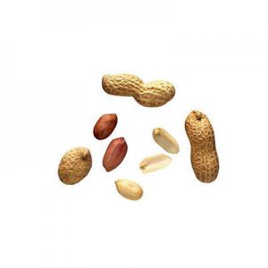 2026花生粒十大品牌排行榜