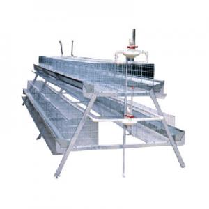 2026鸡笼十大品牌排行榜