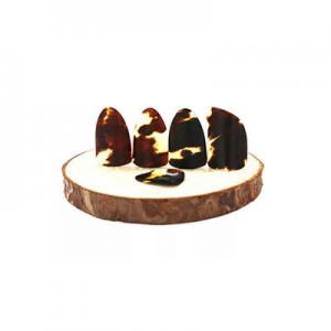 2026琵琶指甲十大品牌排行榜