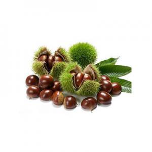 2026生板栗十大品牌排行榜