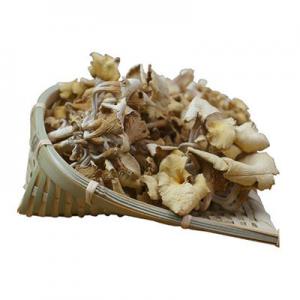 2026黄金菇十大品牌排行榜