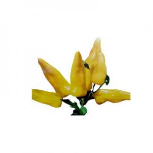 2026白辣椒十大品牌排行榜