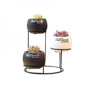 2026创意花盆十大品牌排行榜