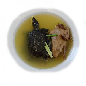 2026鸽子汤十大品牌排行榜