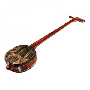 2026大三弦十大品牌排行榜