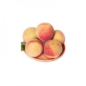 2026雪桃十大品牌排行榜