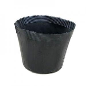 2026营养杯十大品牌排行榜