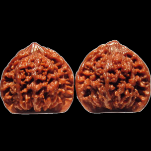 2026狮子头核桃十大品牌排行榜