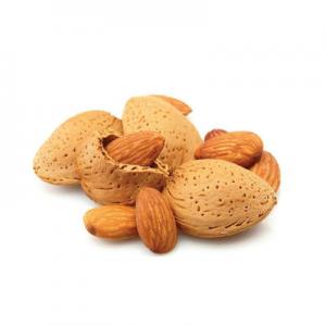 2026山杏仁十大品牌排行榜