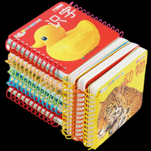 2026拼音卡片十大品牌排行榜