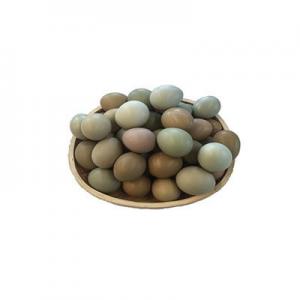 2026山鸡蛋十大品牌排行榜