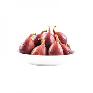 2026野果十大品牌排行榜