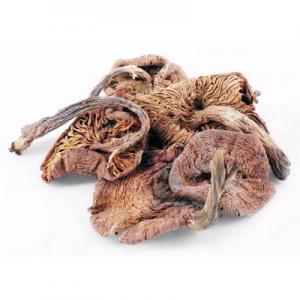 2026野生榛蘑十大品牌排行榜