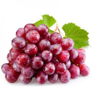 2026葡萄十大品牌排行榜