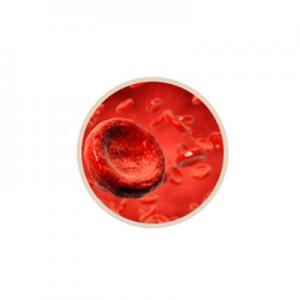 2026鹿茸血十大品牌排行榜