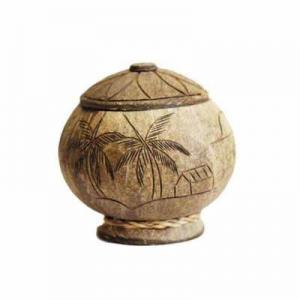 2026椰子壳十大品牌排行榜