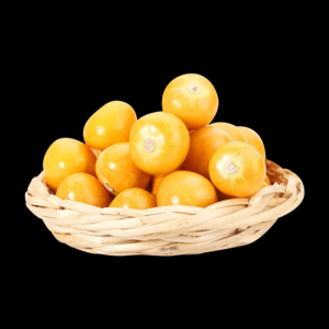 2026菇娘十大品牌排行榜