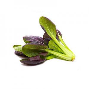 2026绿色食品十大品牌排行榜