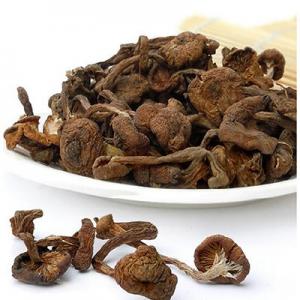 2026榛蘑十大品牌排行榜