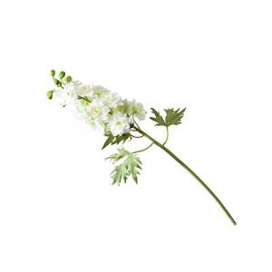 2026飞燕草十大品牌排行榜