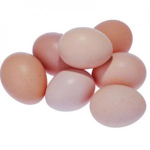 2026柴鸡蛋十大品牌排行榜