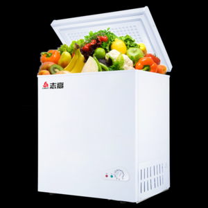 2026冰柜商用十大品牌排行榜