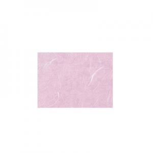 2026纤维纸十大品牌排行榜