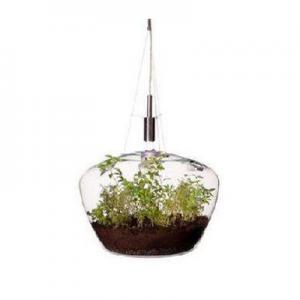 2026植物吊灯十大品牌排行榜