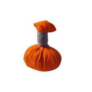 2026养生球十大品牌排行榜