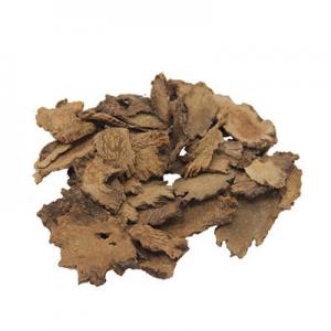 2026锁阳片十大品牌排行榜