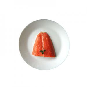 2026冷冻鱼十大品牌排行榜