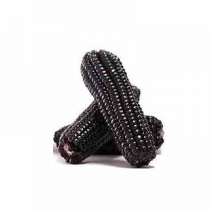 2026黑玉米十大品牌排行榜