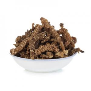 2026虫草参十大品牌排行榜