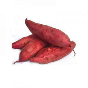 2026小番薯十大品牌排行榜