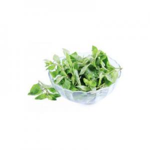 2026枸杞头十大品牌排行榜