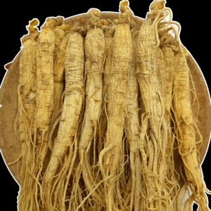 2026鲜人参十大品牌排行榜