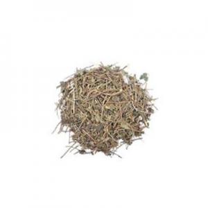 2026灵草十大品牌排行榜