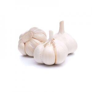 2026蒜头十大品牌排行榜