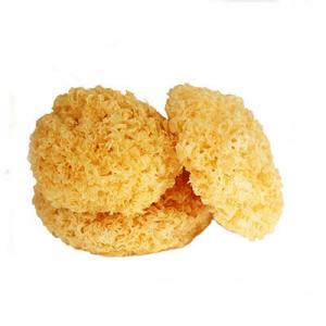 2026糯耳十大品牌排行榜