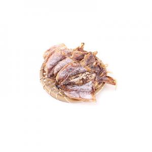 2026干乌贼十大品牌排行榜