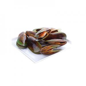 2026青口贝十大品牌排行榜