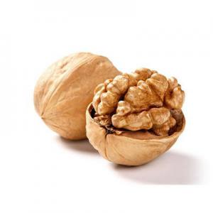 2026生核桃十大品牌排行榜