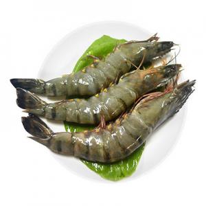 2026老虎虾十大品牌排行榜