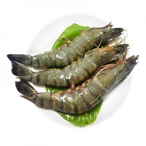 2026黑虎虾十大品牌排行榜