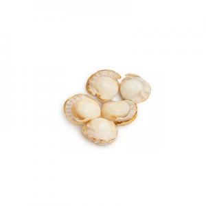 2026扇贝肉十大品牌排行榜